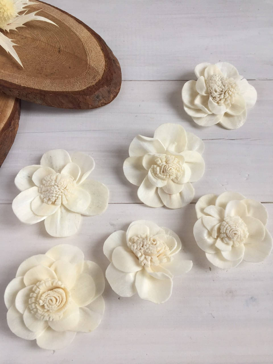 

Цветок из шолы ( упаковка 5 шт )