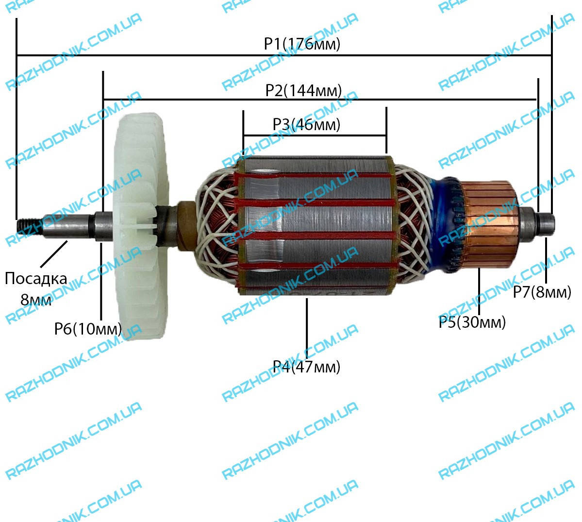 

Якорь для Цепной пилы Foresta FS 2640D