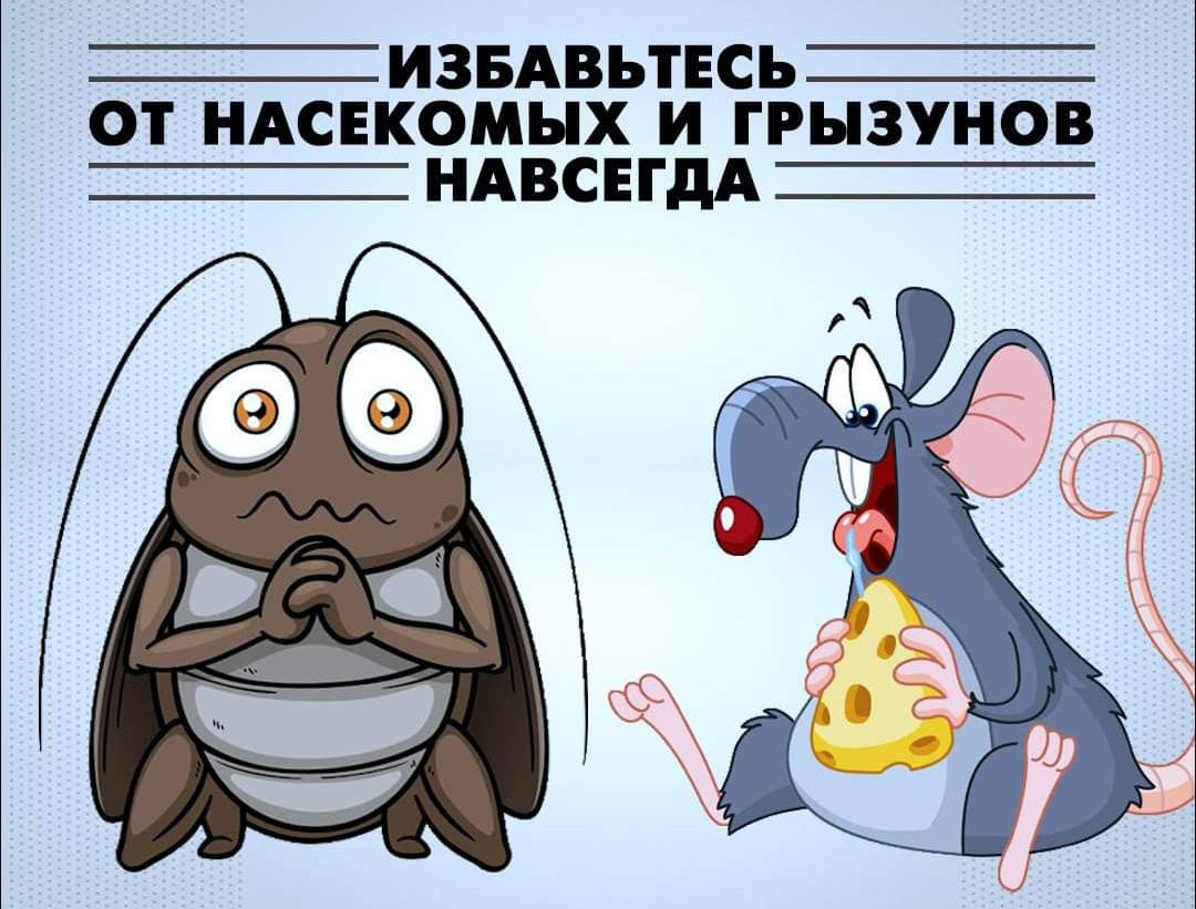 

Профессиональное средство от грызунов: мышей и крыс. (жидкий концентрат)