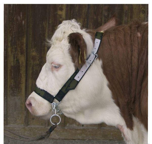 

Уздечка з нейлону, з ланцюгом