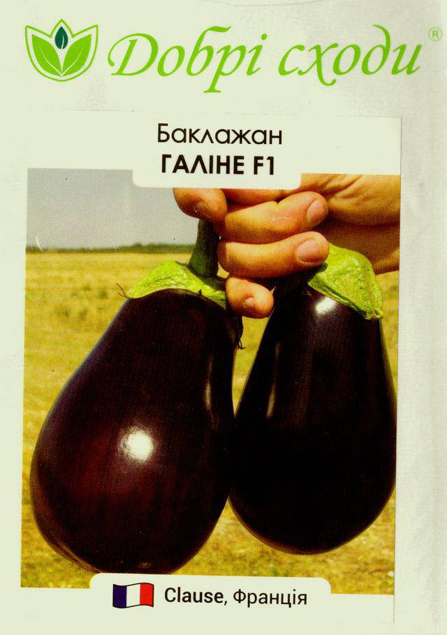 

Семена баклажана Галине F1 10шт ТМ ДОБРІ СХОДИ