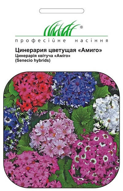 

Профсемена. Семена Цветов Циненария Амиго смесь, 10 шт.