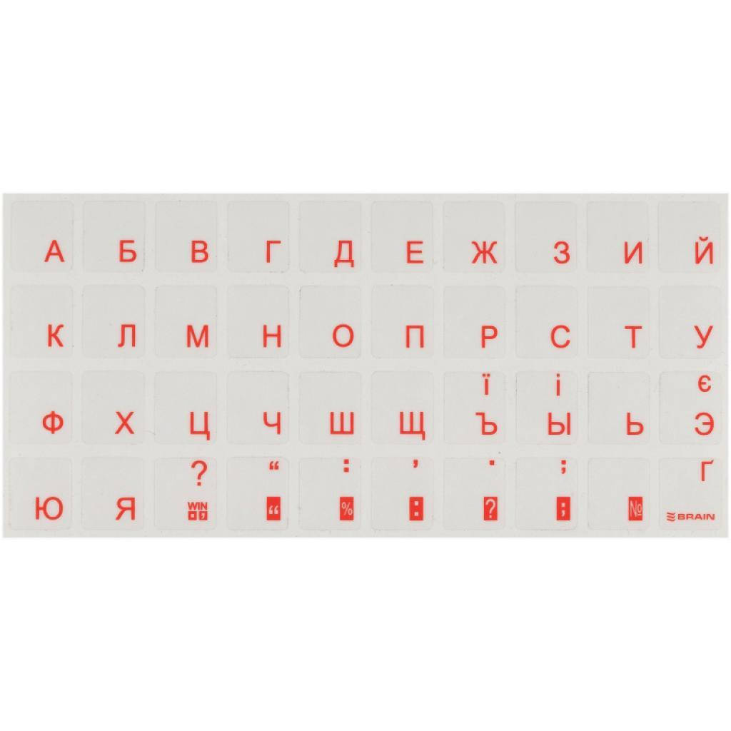 

Наклейка на клавиатуру Brain orange (STBRTRORANGE)