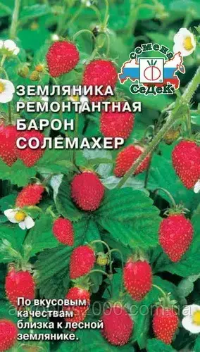 

Семена Земляника ремонтантная Барон Солемахер 0,04 грамма Седек
