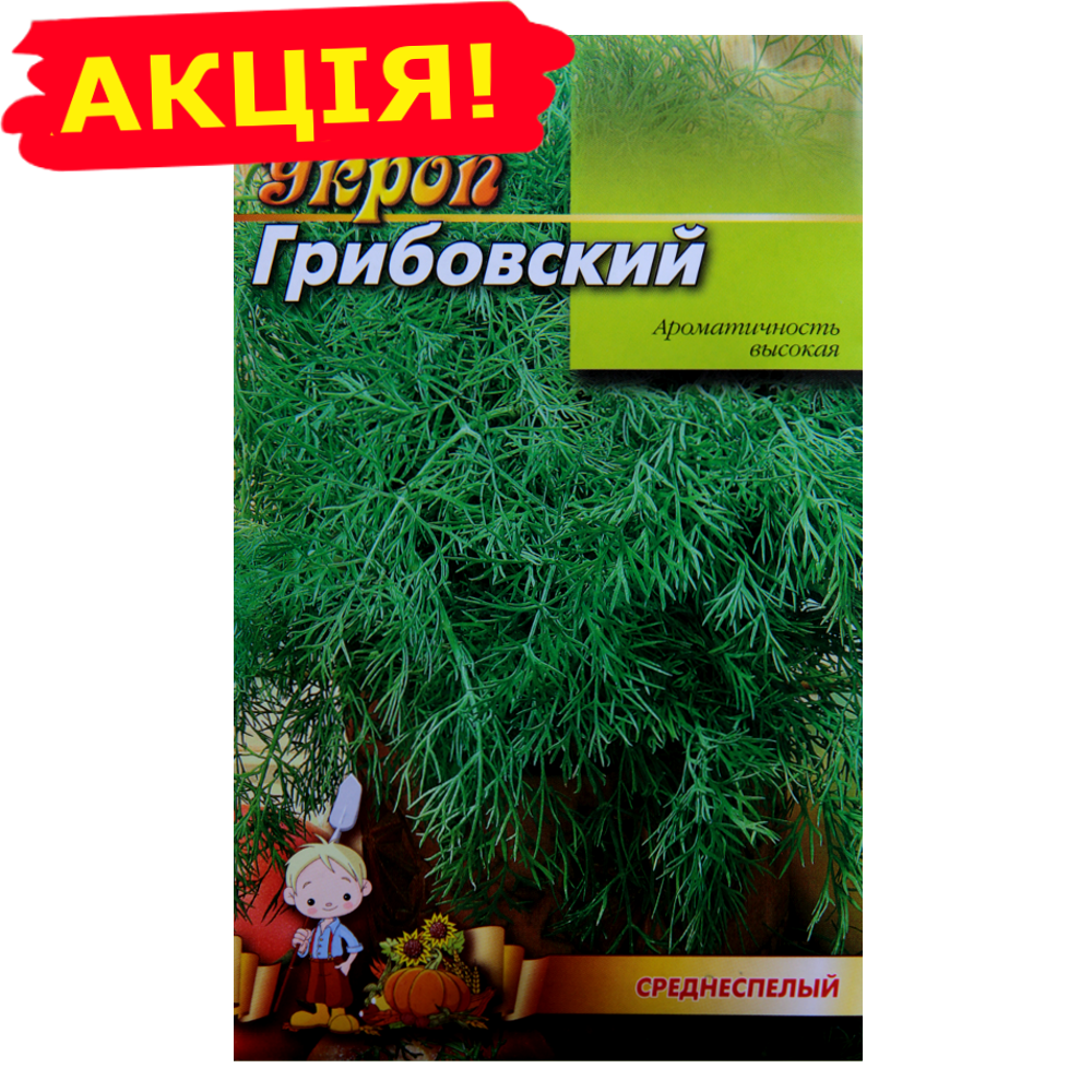 

Укроп Грибовский семена, большой пакет 20 г