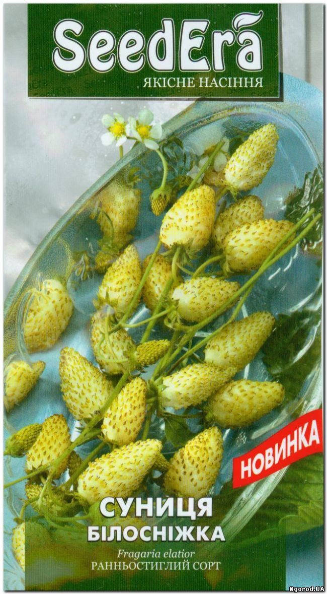 

Семена Земляника Белоснежка 0,05 грамма SeedEra