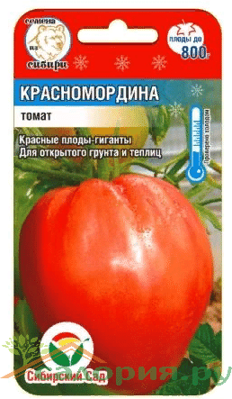

Томат Красномордина, семена