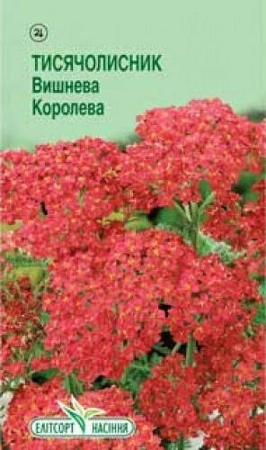 

Семена цветов Тысячелистник Вишневая Королева 0,1г ЭлитСорт, Красный