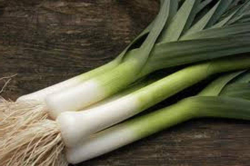 

Лук порей "Казимир" семена 0,5 г