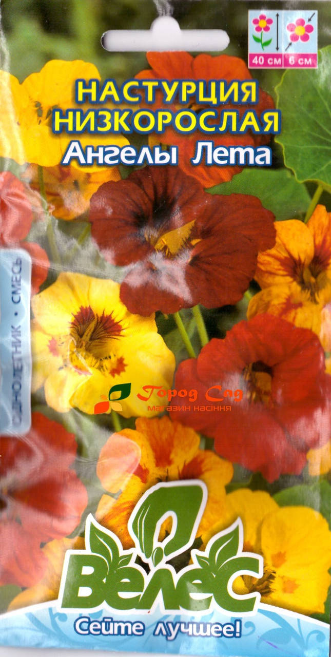 

Семена настурции низкорослой Ангелы лета 1г ТМ ВЕЛЕС
