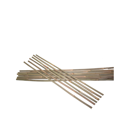 

Опора бамбуковая ZRостай 120 см (10-12мм) N8010