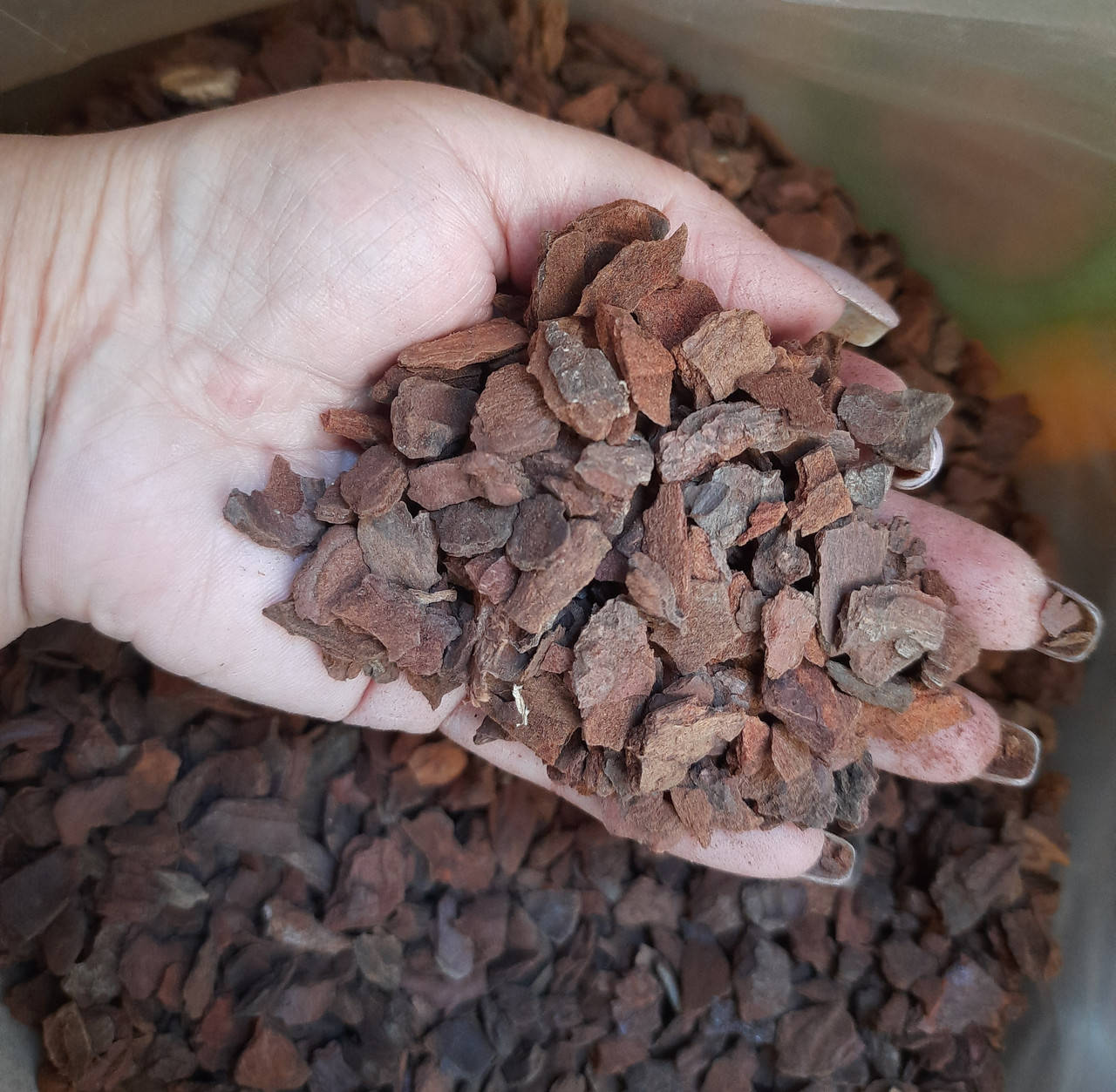 

PINIA (CLASSIC) 9-12 mm/ Пиния классик 1л (ручная фасовка)