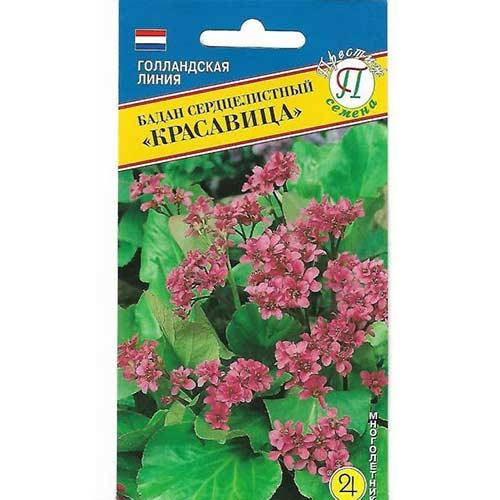 

Семена Бадан сердцелистный Красавица 10 семян Престиж, Красный