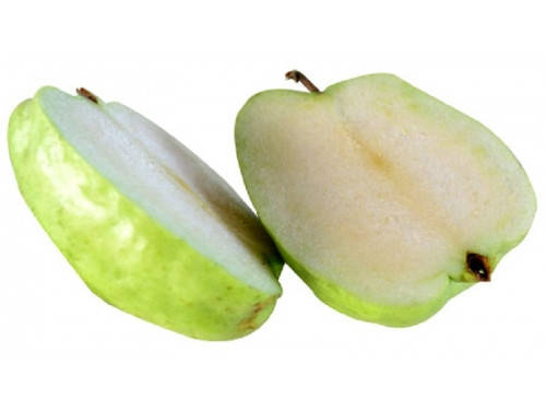 

Саженцы яблони МАТРЕШКА осеннего срока (двухлетние)