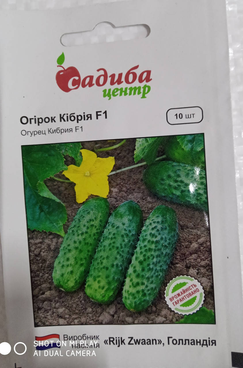 

Насіння огірка надранього самозапильного гібрида Кібрія F1 10 шт. "Rijk Zwaan" Голландія