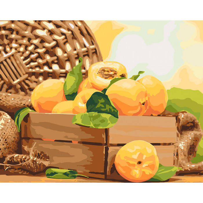 

Картина по номерам 40×50 см. Идейка (без коробки) Золотистый абрикос (КНО 5565)