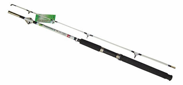 

Спининг карповый CROCODILE тест 100-250 гр. 2.1 м, Белый