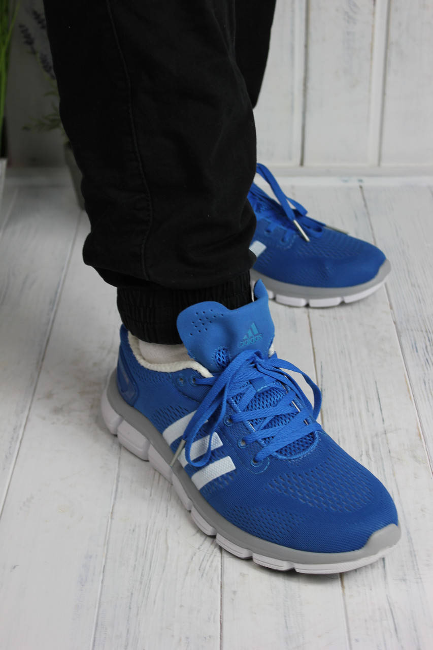 

Кроссовки мужские Adidas Сlima Сhill голубые, Голубой