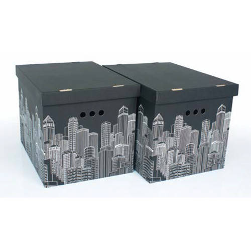 

Набор картонных ящиков для хранения XL, Citi 2шт