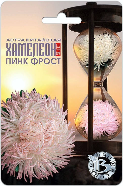 

Семена Астра китайская Хамелеон Селект Пинк Фрост 30 семян Биотехника, Розовый