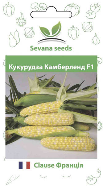 

Семена сладкой кукурузы Камберленд F1 50 шт. суперсладкая