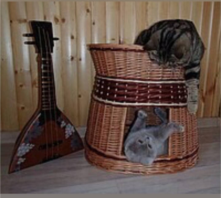 

Домик для Кошки с лежаком