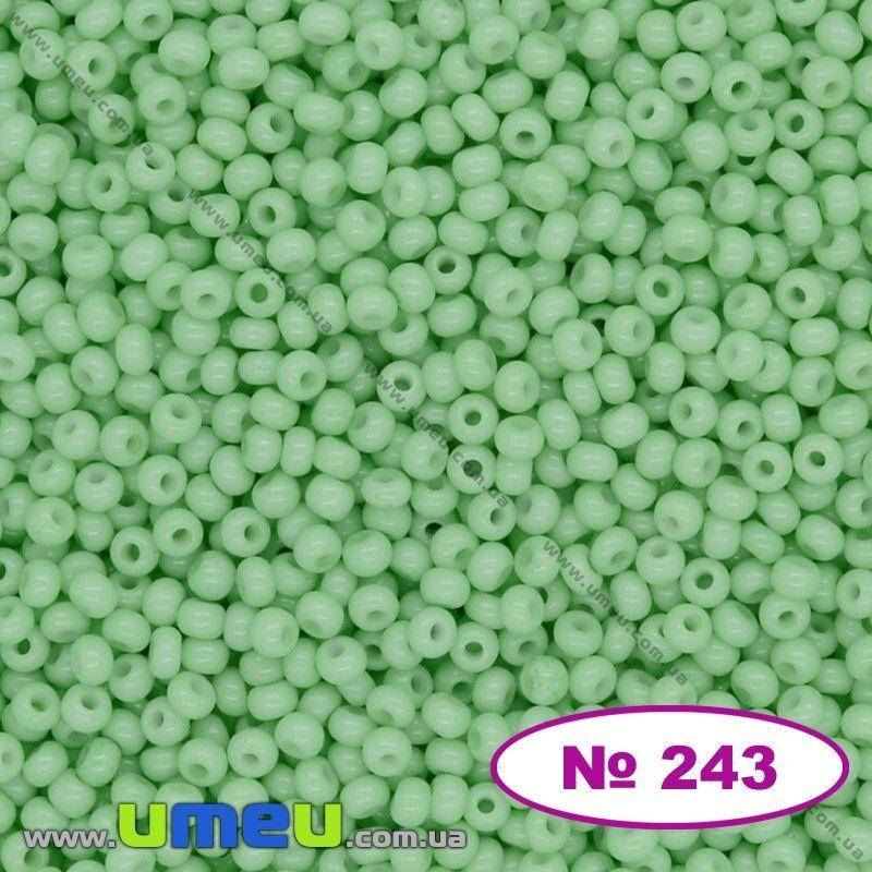

Бисер чешский №243/03161, Салатовый, Натуральный, 10/0 (BIS-014142)