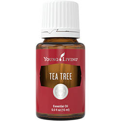 

Эфирное масло Чайного дерева (Tea tree) Young Living 5мл
