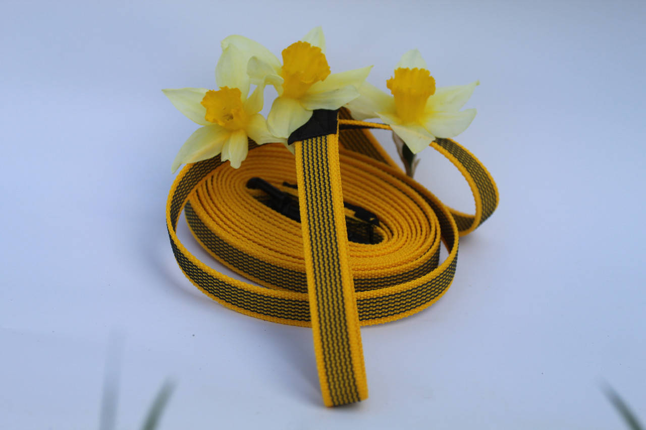 

Поводок прорезиненный для собак 3 м, Желтый