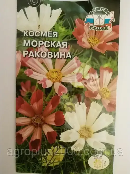

Семена Космея махровая дваждыперистая Морская раковина смесь 0,3 грамма Седек, Разные цвета