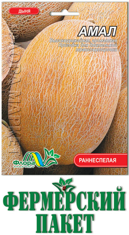 

Дыня Амал (большой пакет)