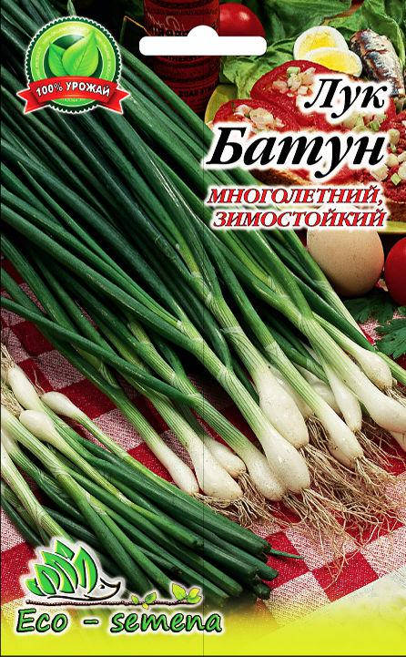 

Семена Лук Батун многолетний