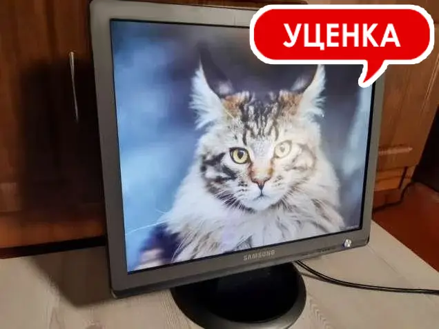 

Б/У, Монитор, 19 дюймов, SAMSUNG, в ассортименте, УЦЕНКА