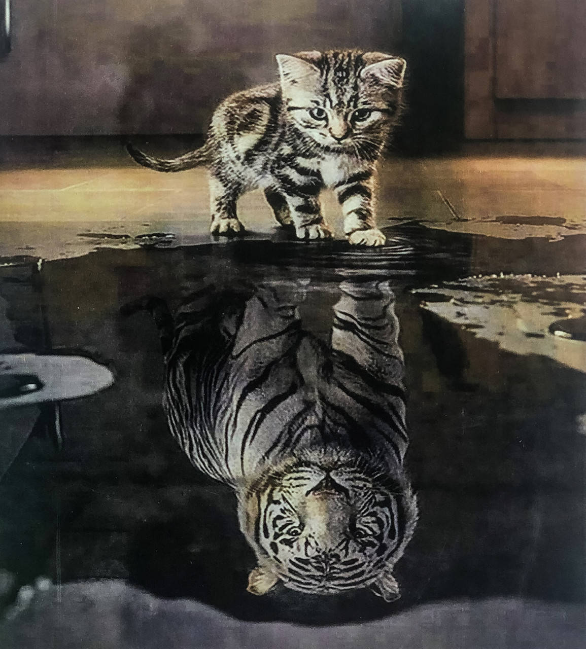 

Алмазная Мозаика на подрамнике . Набор алмазной вышивки на подрамнике "В отражении". Размер 30*40 см.