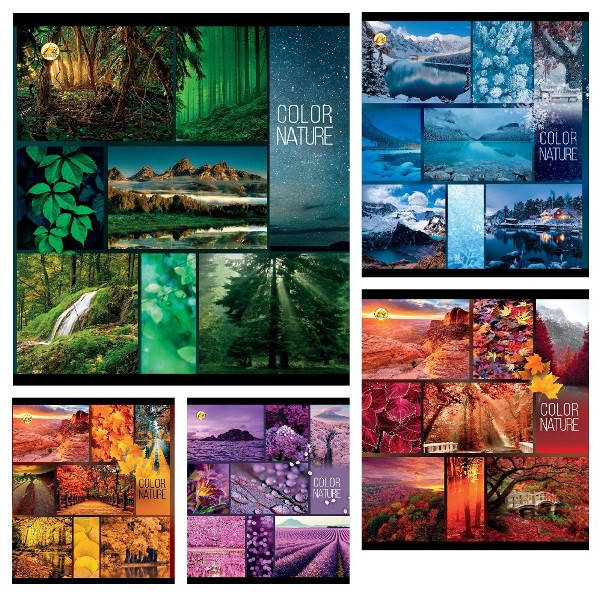 

Тетрадь 96 листов клетка "Тетрада" / Цвета природы