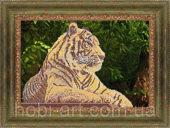 

Тигр ЧК-А3-20 Атлас