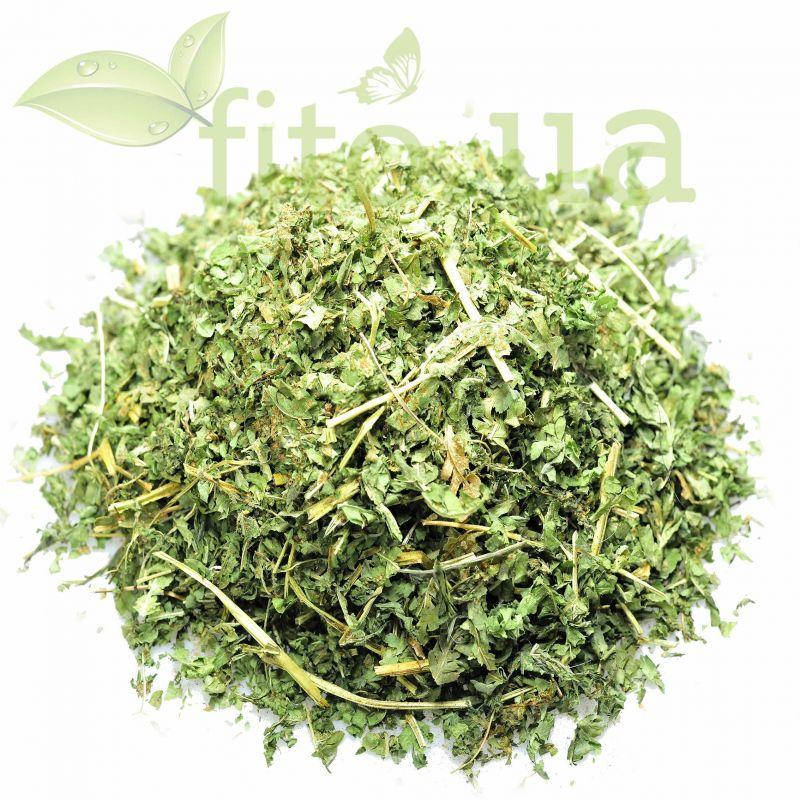 

Папоротник трава 50 гр.