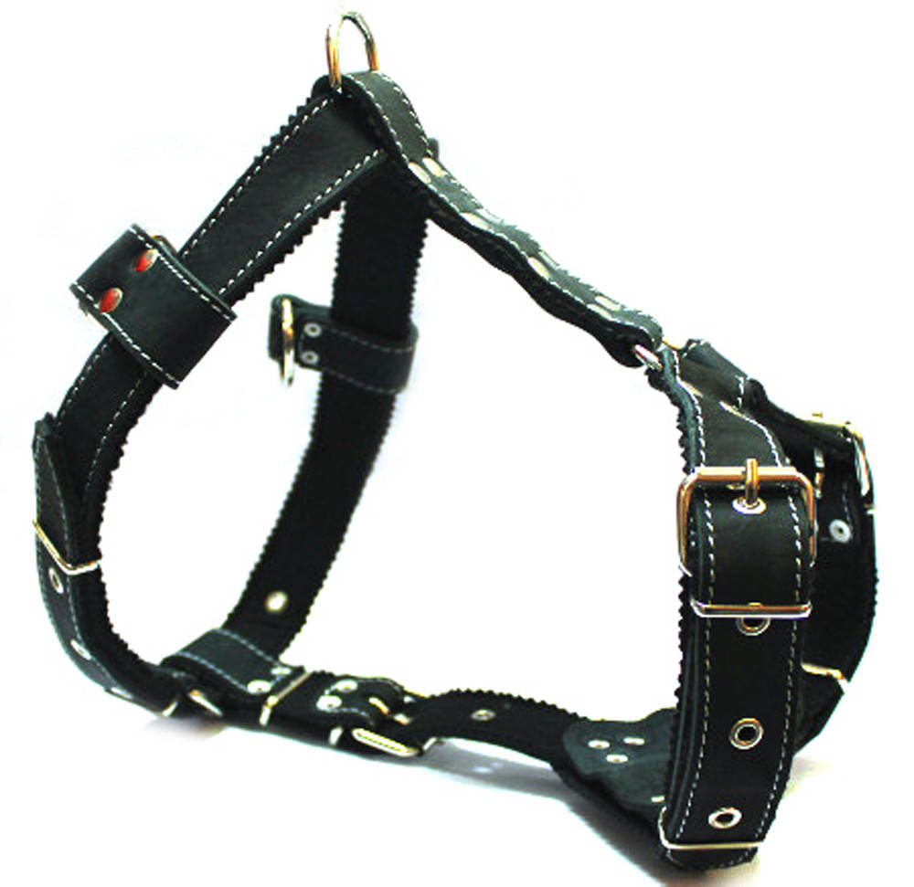 

Шлея для собак кожаная Ротвейлер черная, Черный