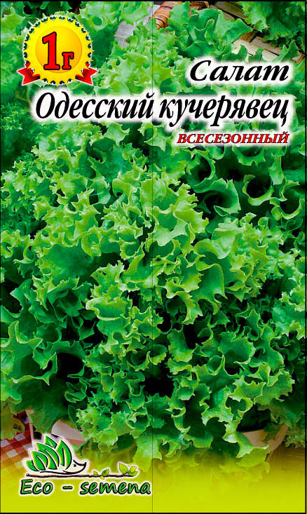 

Eco-semena. Семена Салат Одесский Кучерявец, 1 г