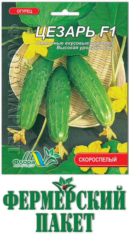 

Огурец Цезарь F1 (большой пакет)