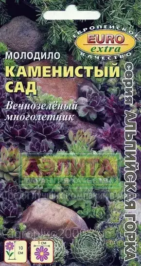 

Семена Молодило Каменистый сад смесь 0,005 грамма Аэлита, Разные цвета