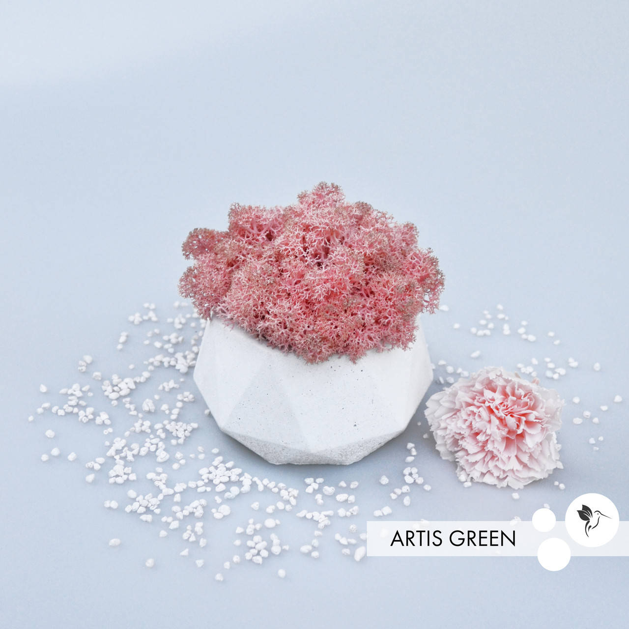 

Кашпо с настоящим скандинавским мхом Fresh Coral, S117|2