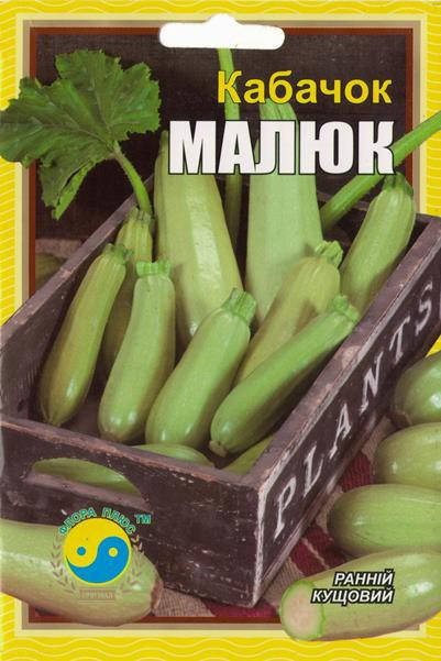 

Семена кабачок Малыш 15 г. Флора плюс