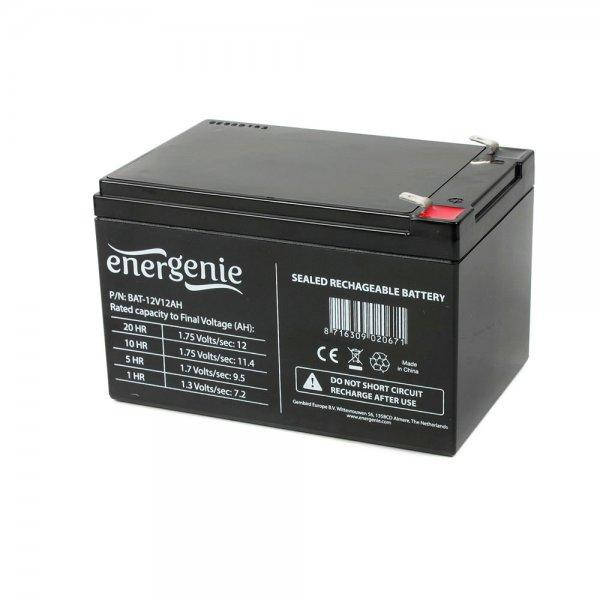 

Аккумуляторная батарея EnerGenie BAT-12V12AH 12В 12Aч 3.55 кг