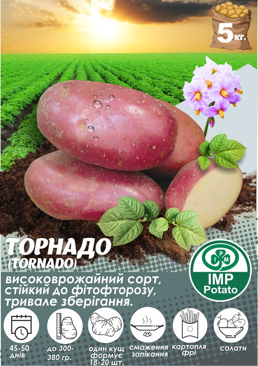 

Насіннева картопля "ТОРНАДО" 1-а репродукція ТМ" IMP Potato" (Голландия) 5 кг.