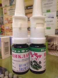 

Цикламена экстракт от гайморита