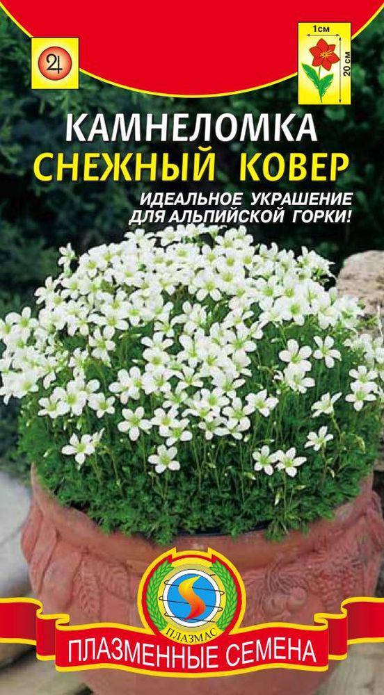 

Камнеломка Снежный ковер 0,01 г (Плазменные семена)