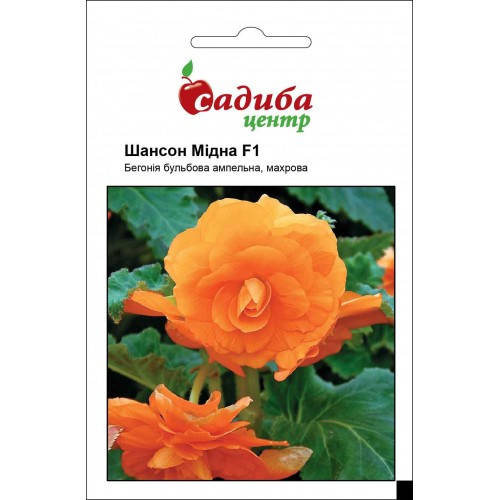 

Семена Бегония ампельная махровая Шансон F1 Медная 10 семян Cerny, Оранжевый