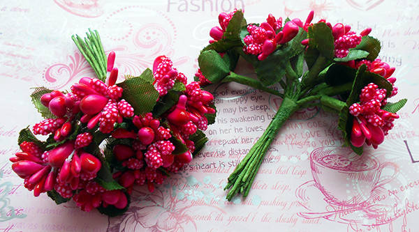 

Букетик № 222 10-12 гілочок в пучку