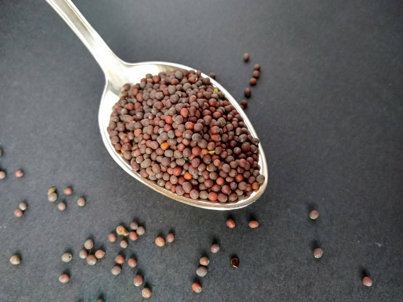 

Горчица черная семена 50г